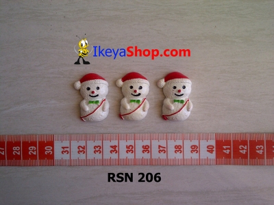 rsn 206  large2